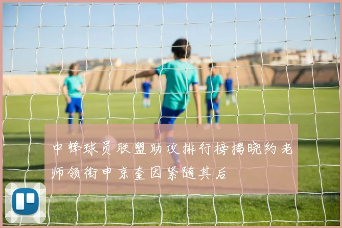 中锋球员联盟助攻排行榜揭晓约老师领衔申京奎因紧随其后