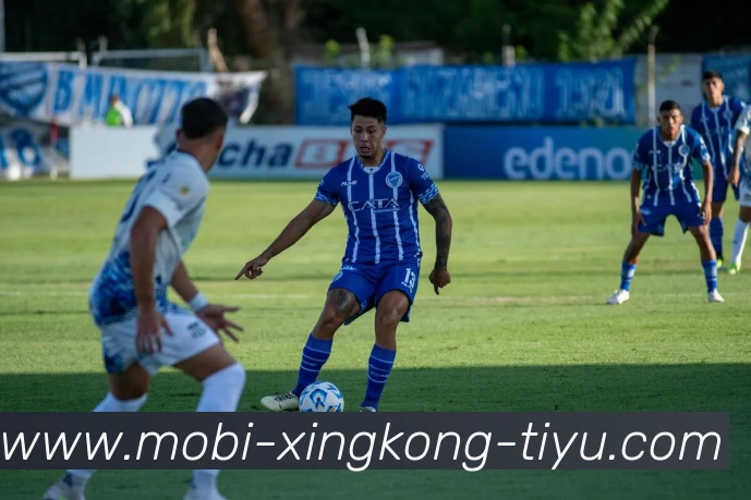 星空体育平台生态图