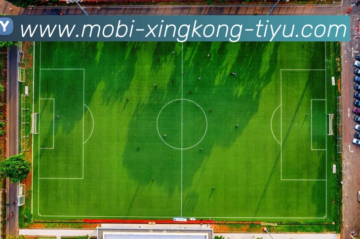 星空体育APP 封面图